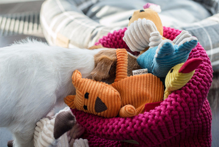 Bowl &amp; Bone Republic Cotton Basket Grey, Dog Toy Storage | Barks &amp; Bunnies