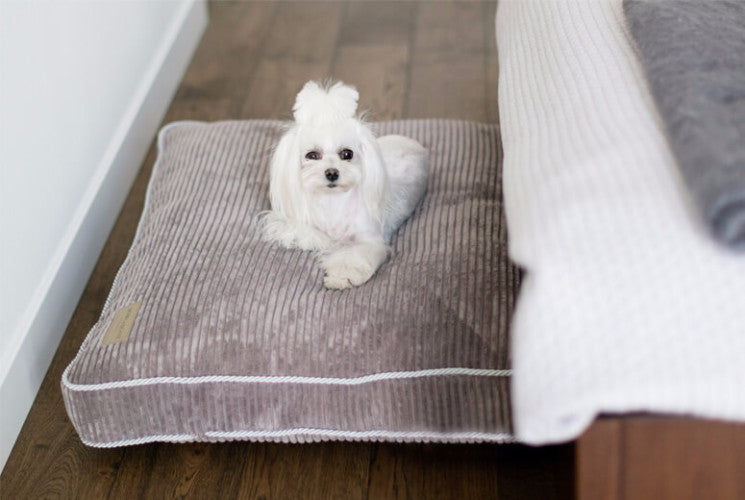 Bowl &amp; Bone Republic Deco Cushion Sapphire, Dog Bed | Barks &amp; Bunnies