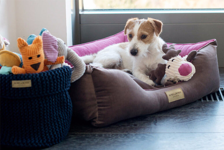 Bowl &amp; Bone Republic Classic Bed Pink, Dog Bed | Barks &amp; Bunnies