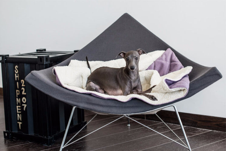 Bowl & Bone Republic Dreamy Bed Silver, Dog Bed | Barks & Bunnies