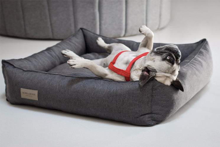 Bowl &amp; Bone Republic Urban Bed Graphite, Dog Bed | Barks &amp; Bunnies