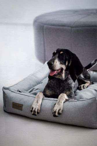 Bowl &amp; Bone Republic Urban Bed Graphite, Dog Bed | Barks &amp; Bunnies