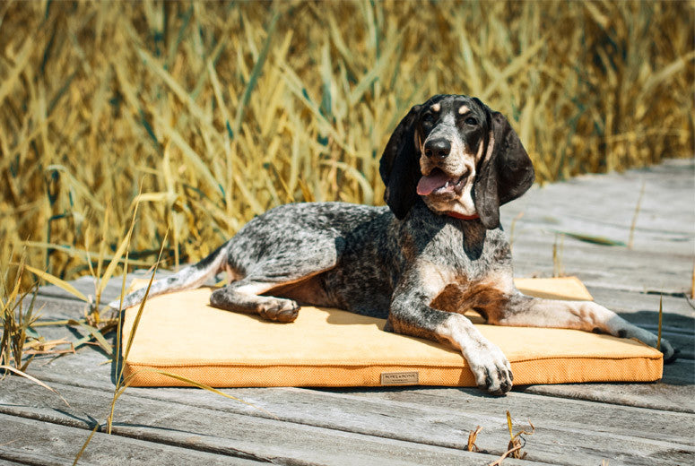 Bowl &amp; Bone Republic Chill Mat Chocolate, Dog Bed | Barks &amp; Bunnies