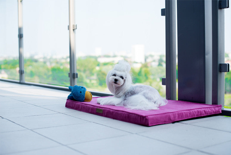 Bowl &amp; Bone Republic Chill Mat Silver, Dog Bed | Barks &amp; Bunnies