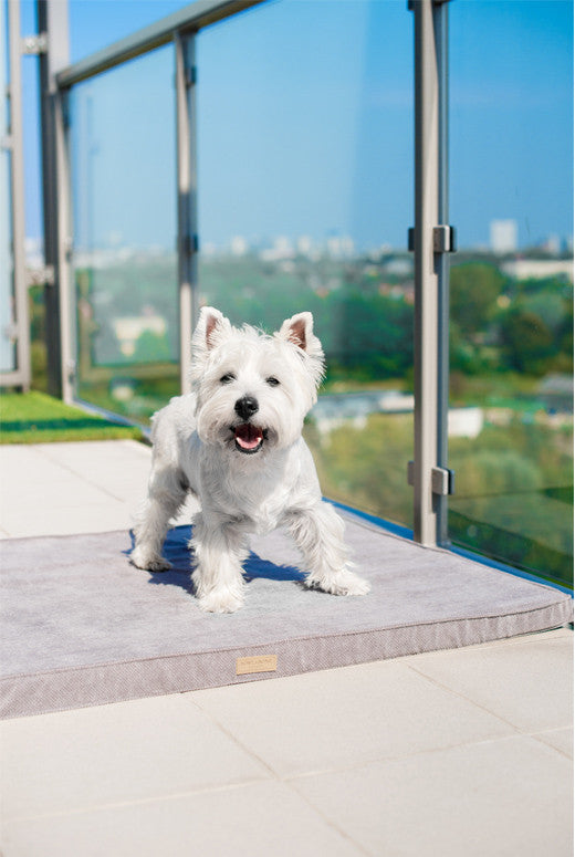 Bowl &amp; Bone Republic Chill Mat Olive, Dog Bed | Barks &amp; Bunnies