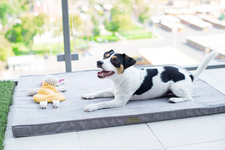 Bowl & Bone Republic Chill Mat Silver, Dog Bed | Barks & Bunnies