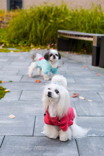 Bowl &amp; Bone Republic Cloud Hoodie Dog Coat | Barks &amp; Bunnies