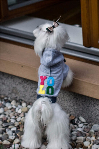 Bowl &amp; Bone Republic YOLO Hoodie Dog Coat | Barks &amp; Bunnies