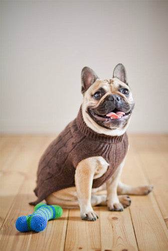 Bowl &amp; Bone Aspen Pullover Red, Warm Wool Dog Coat | Barks &amp; Bunnies