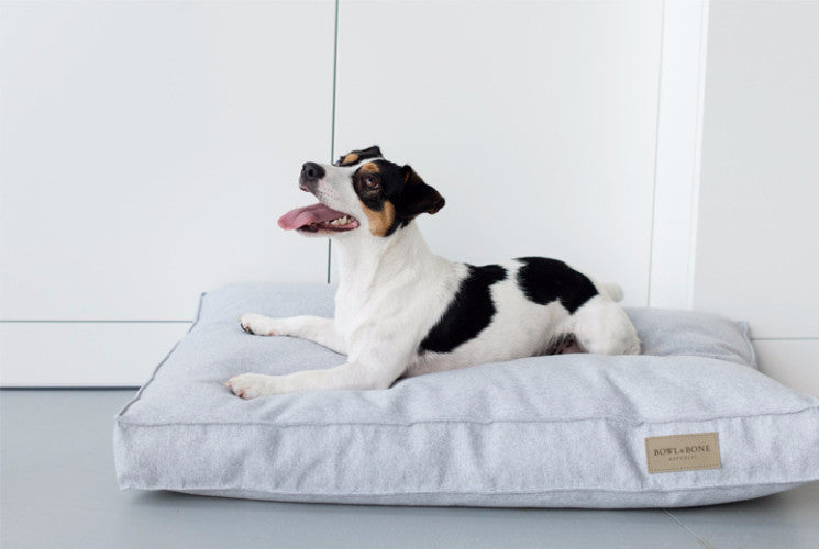 Bowl &amp; Bone Republic Loft Cushion Coral, Dog Bed | Barks &amp; Bunnies