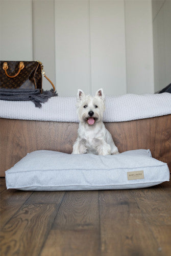Bowl &amp; Bone Republic Loft Cushion Coral, Dog Bed | Barks &amp; Bunnies
