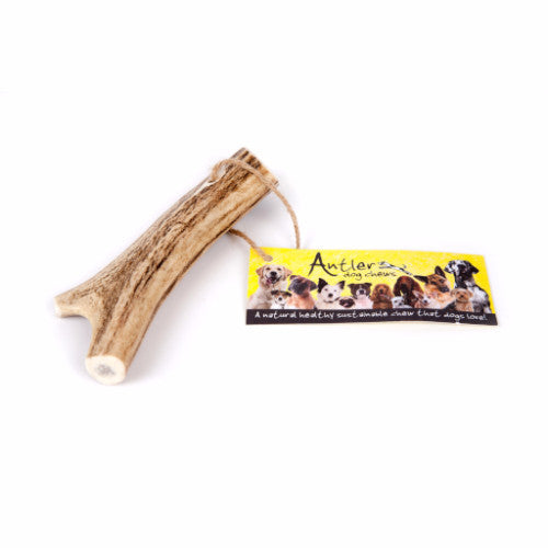 Deer Antler Dog Original Chew for dogs | Barks &amp; Bunnies