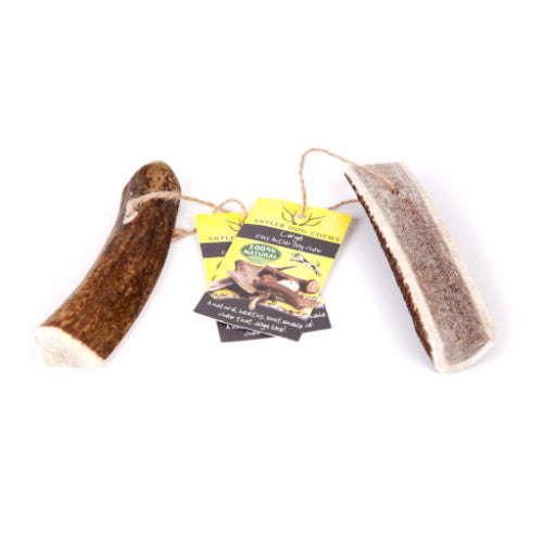 Green &amp; Wilds Easy Antler Dog Chews, Naturally Shed | Barks &amp; Bunnies