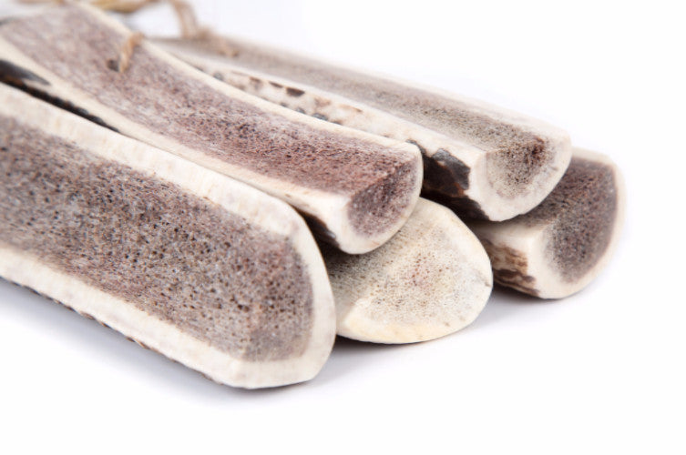Green &amp; Wilds Easy Antler Dog Chews, Naturally Shed | Barks &amp; Bunnies