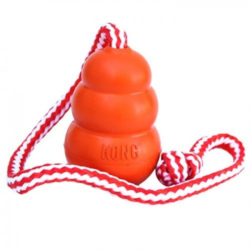 Kong Aqua, Floating Dog Toys UK  | Barks & Bunnies