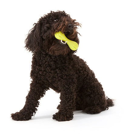 Zogoflex Hurley UK, Zogoflex Dog Toys UK Stockist | Barks &amp; Bunnies