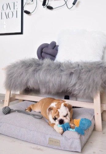 Bowl &amp; Bone Republic Loft Cushion Graphite, Dog Bed | Barks &amp; Bunnies