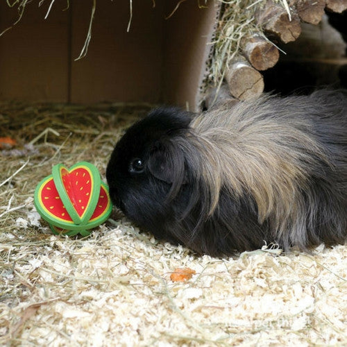 Rosewood Boredom Breaker Woodies Fruit Rollers | Barks &amp; Bunnies