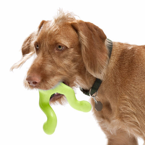 Zogoflex Tizzi, Zogoflex Dog Toys UK Stockist | Barks &amp; Bunnies
