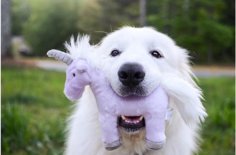 Fluff &amp; Tuff Violet Unicorn, Durable Plush Dog Toys | Barks &amp; Bunnies