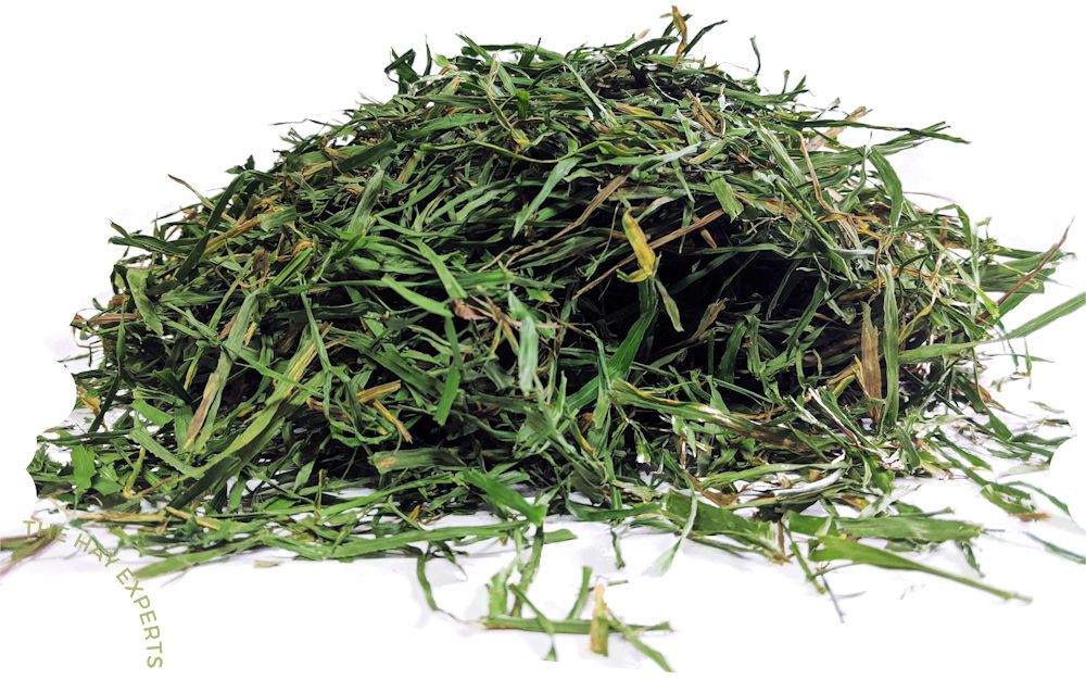 The Hay Experts Soft Cut Timothy Hay | Barks &amp; Bunnies