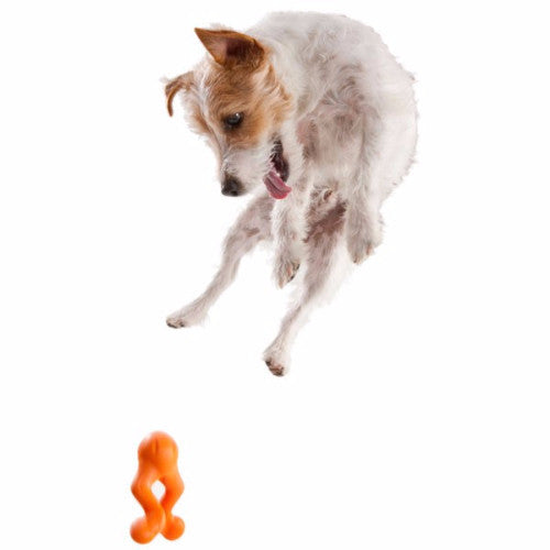 Zogoflex Tizzi, Zogoflex Dog Toys UK Stockist | Barks &amp; Bunnies
