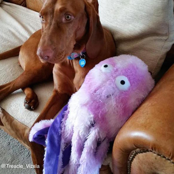 Gor Pets Octopus Dog &amp; Puppy Toy, Super Soft, Plush | Barks &amp; Bunnies