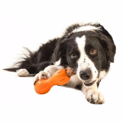 Zogoflex Qwizl, Interactive Extra tough Dog Toy UK | Barks &amp; Bunnies