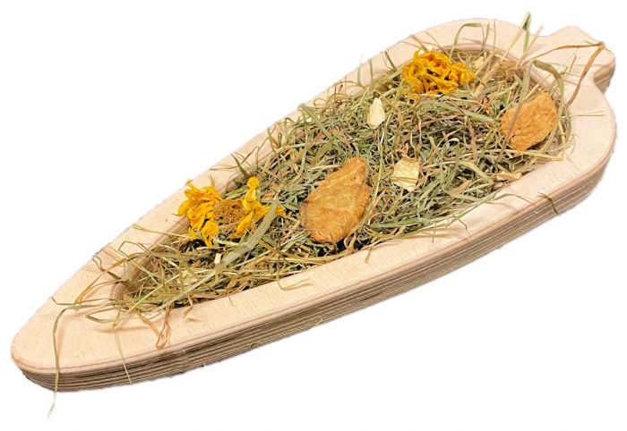 The Hay Experts Wooden Carrot Rabbit Bowl | Barks &amp; Bunnies