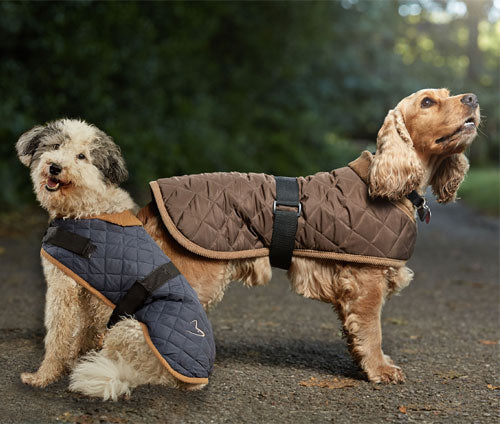 Gor Pets Worcester Dog Coat, Quilted Winter Dog Coat | Barks &amp; Bunnies