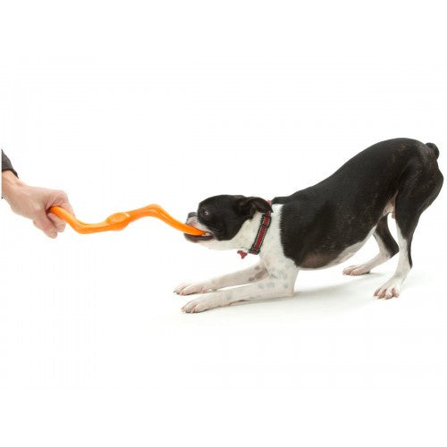 Zogoflex Bumi, Guaranteed Indestructible Dog Toys UK | Barks &amp; Bunnies